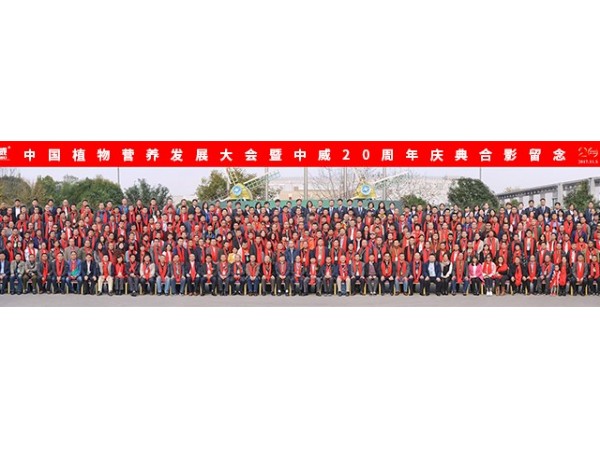 2017年20周年慶典
