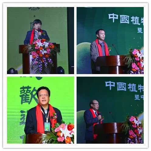 中威,中威春雨,中威二十周年慶典，匠心中威