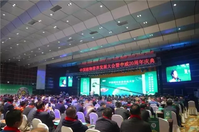 中威,中威春雨,中威二十周年慶典，匠心中威