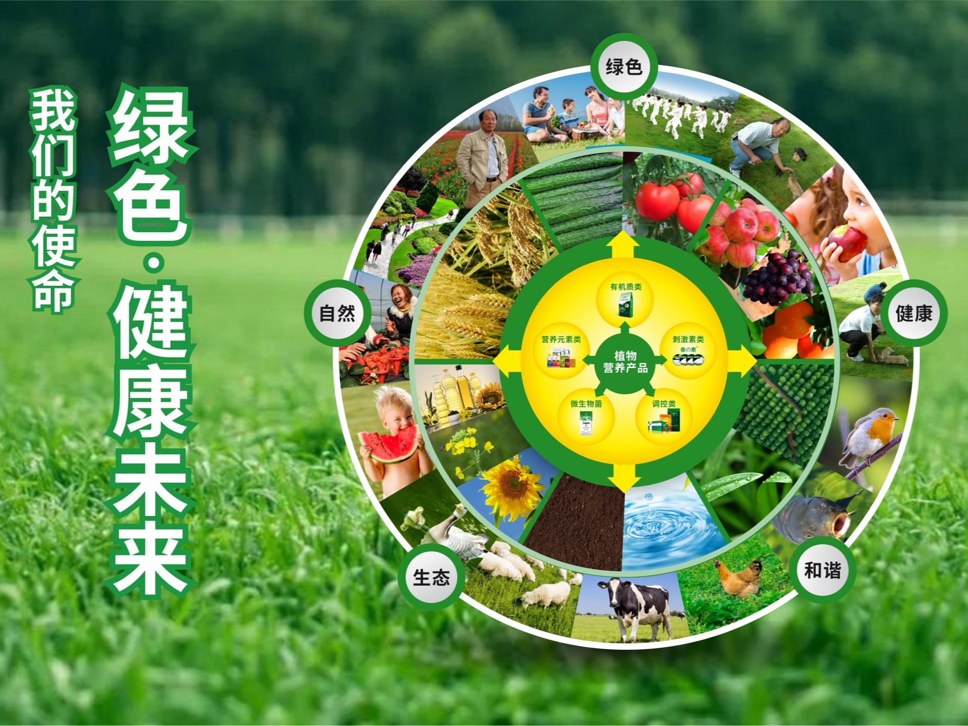【產(chǎn)品之道】走植物營養(yǎng)精品之路