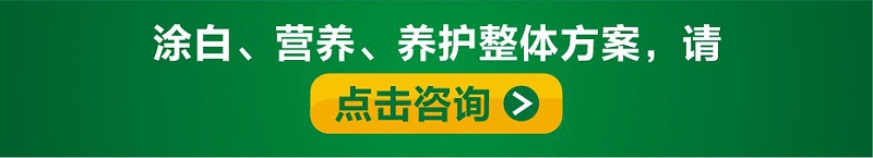 涂白劑_14
