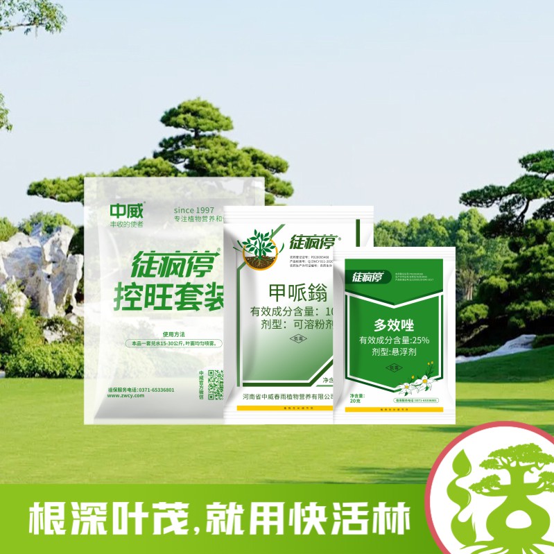 徒瘋?？赝籽b