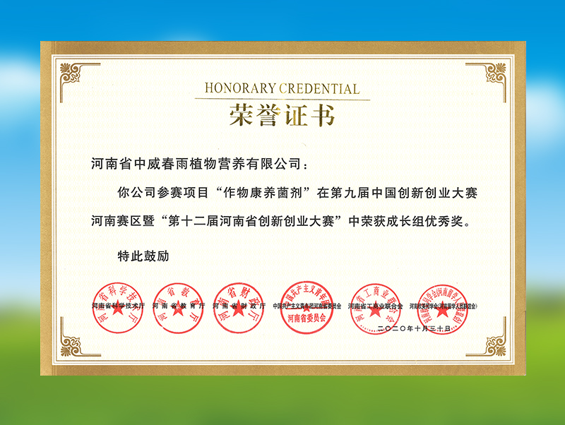 創(chuàng)新創(chuàng)業(yè)大賽優(yōu)秀獎(jiǎng)