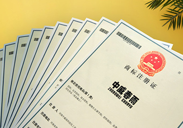 百余項(xiàng)證件專利商標(biāo)等知識(shí)產(chǎn)權(quán)保護(hù)